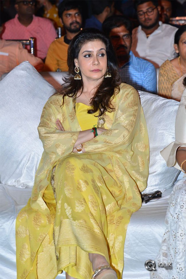 Chal-Mohan-Ranga-Pre-Release-Function-Photos